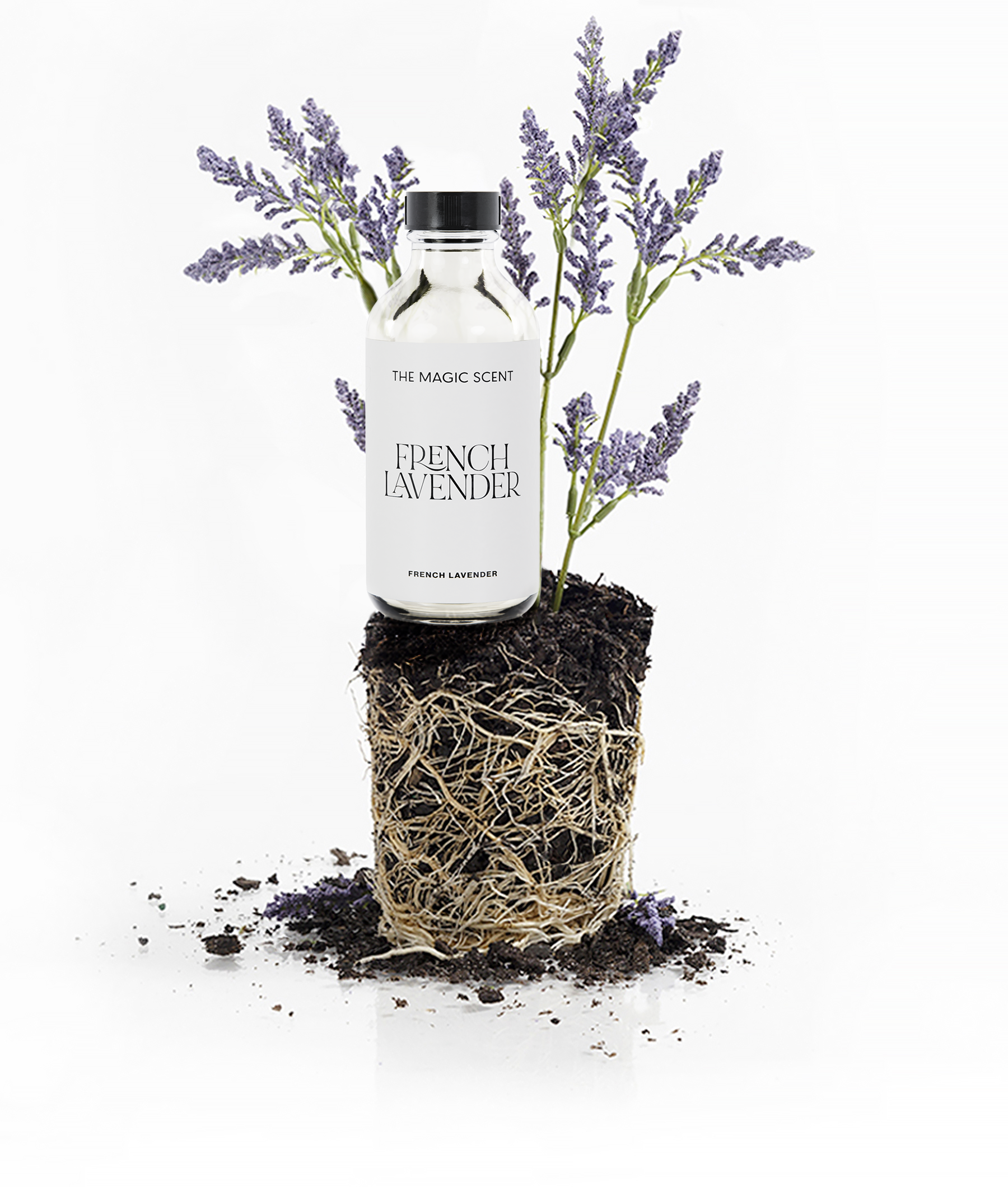 TMS - French Lavender_100ml_